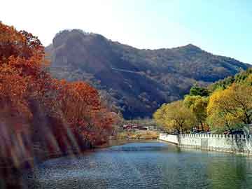 新澳天天开奖资料大全旅游团，斗鸡多少钱一斤